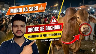 Mandi Ka Sach! ⚠️ Janwar Lene Se Pehle Ye Cheezein Lazmi Dekhein!