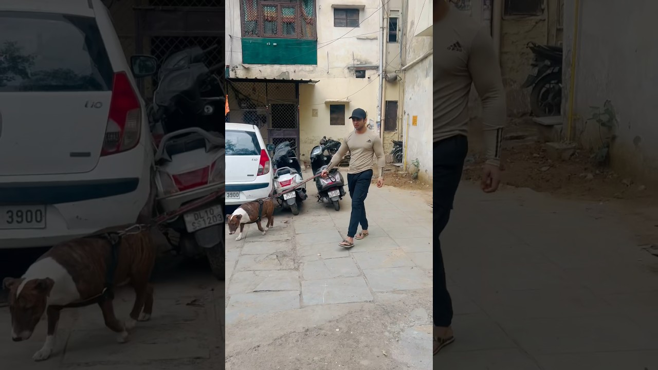 How To Declare Variable Within A SQL SELECT Statement - YouTube Auto PHP Script