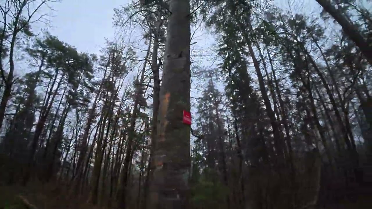 Gariūnų piliakalnis Mound