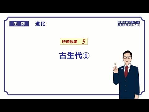 【高校生物】　進化5　古生代①（23分）