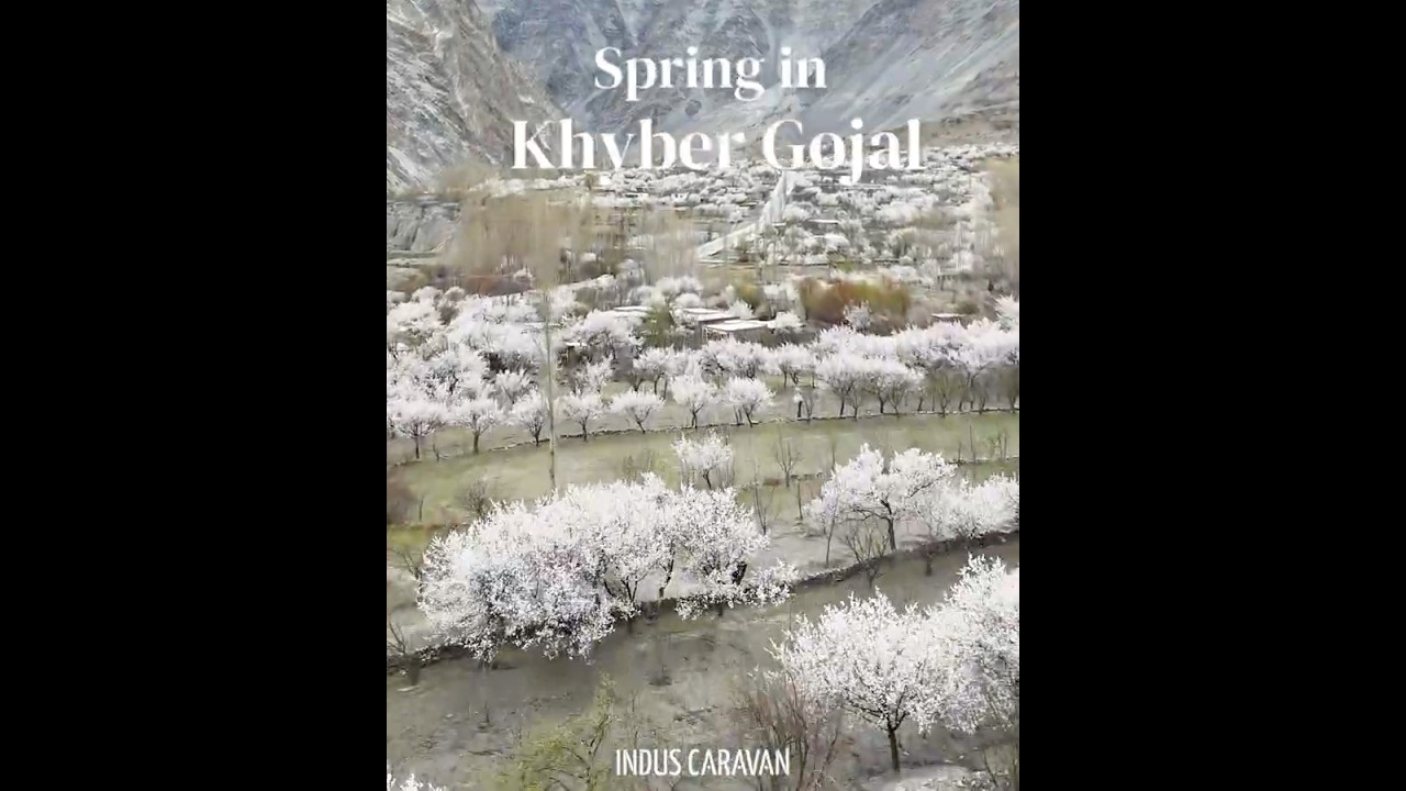 Khyber Gojal in Spring