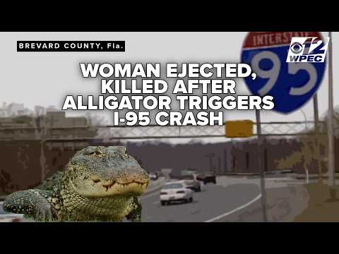 Alligator on I-95 leads to deadly crash that kills 20-year-old Florida woman