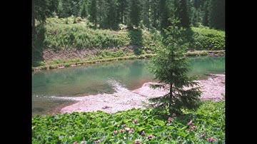 Ibrahim Jibreen - Surat Nuh سورة نوح