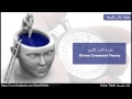 نظرية الأمر الالهى    