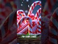 Christmas ABC Song for Kids | Fun Holiday Alphabet Learning | Animal Paw Tunes #kidslearning