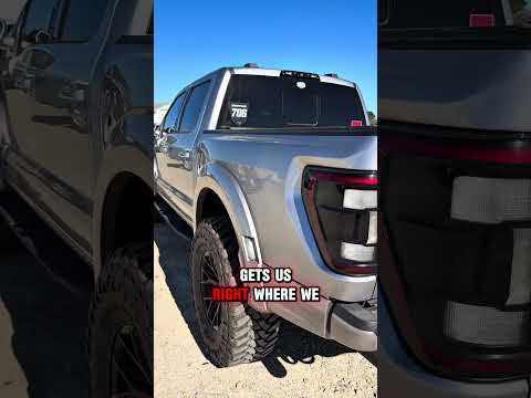 Iconic Silver Raptor INDO