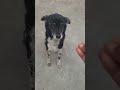 Yaar mai itti sundr kaise huu funny video #funny #trending #viral #shorts #youtubeshorts #trending