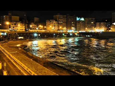   شيرين بلدى