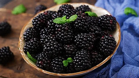 Сколько реально кг ягод можно получить с куста ежевики