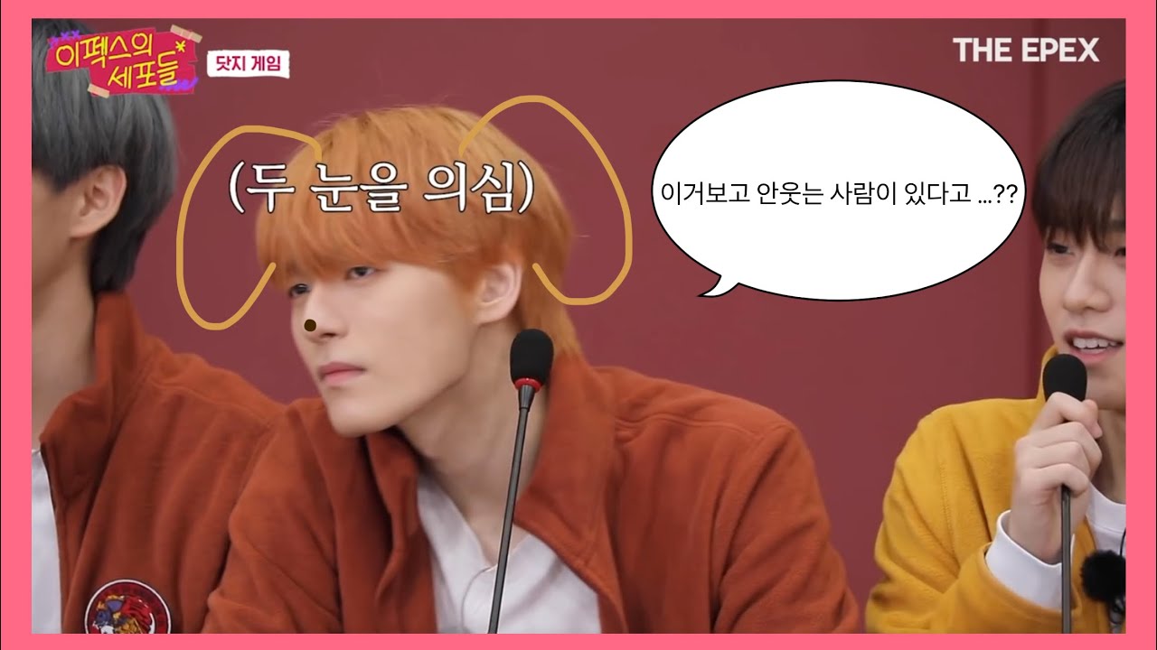 [EPEX] 이펙스의 세포들 웃긴장면 모음집 ㅋㅋㅋ | 안보면 후회함 진짜. | 이거보고 안웃는 사람 없음.