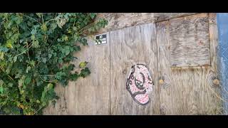 Abandoned Bally Total Fitness Sharpstown