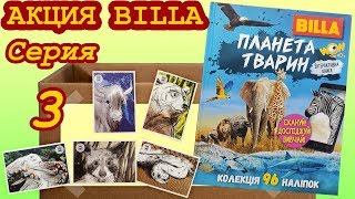 Обзор акции BILLA. 📕 Книга-альбом - Планета животных, серия 3 (Не Льорки) Обзор акции BILLA. 📕 Книга-альбом - Планета животных, серия 3 (Не Льорки)