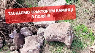 ТАСКАЄМО ТРАКТОРОМ КАМІНЦІ З ПОЛЯ... ПОРОСЯТА ВІДСОРТОВАНІ !!!