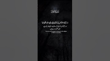 سورة النصر كاملة… تلاوة خاشعة تهز القلوب