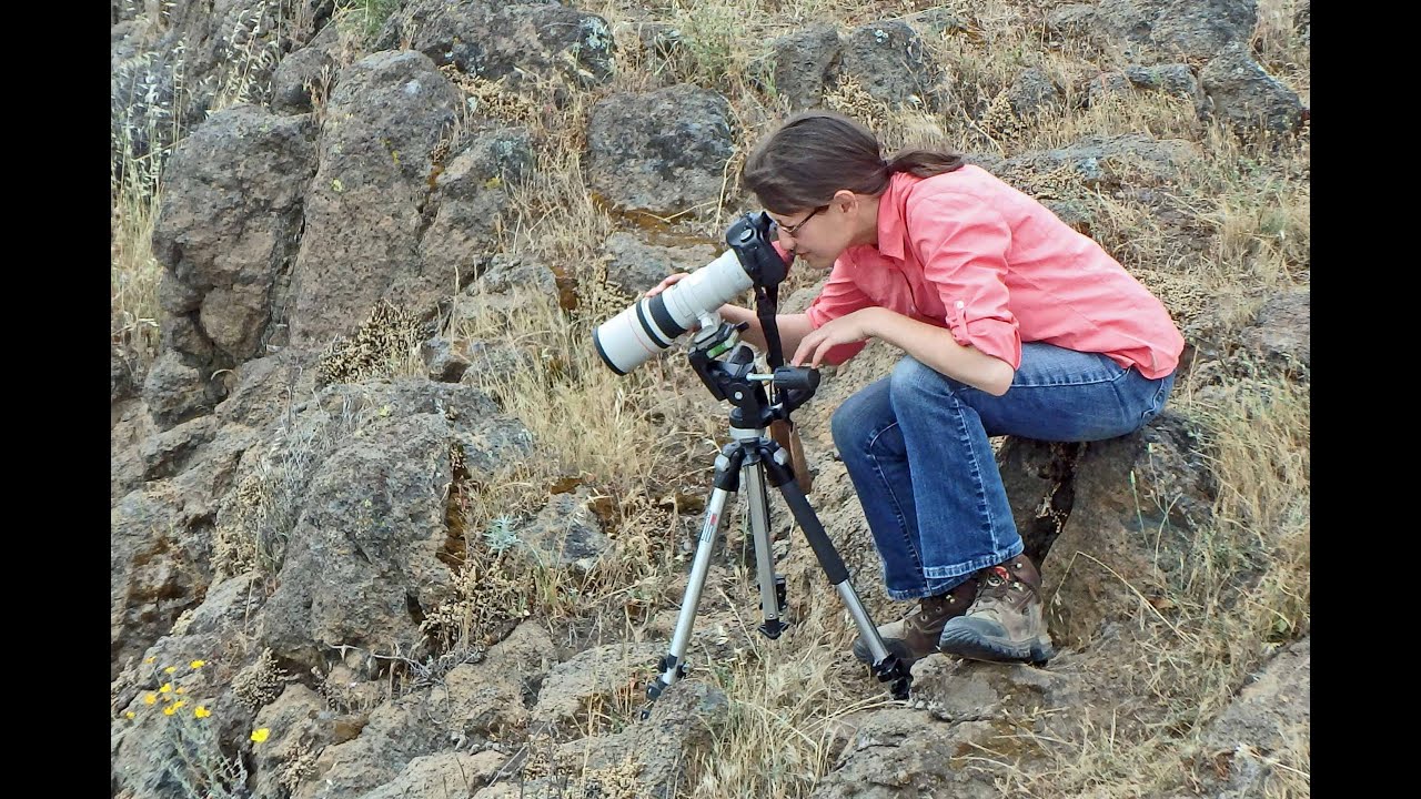 Archaeology and Remote Seeing YouTube