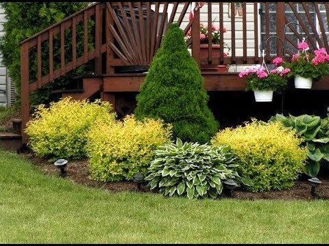 Video: Kaip lengva ir paprasta savo rankomis pasidaryti sodo ir daržo dekorą