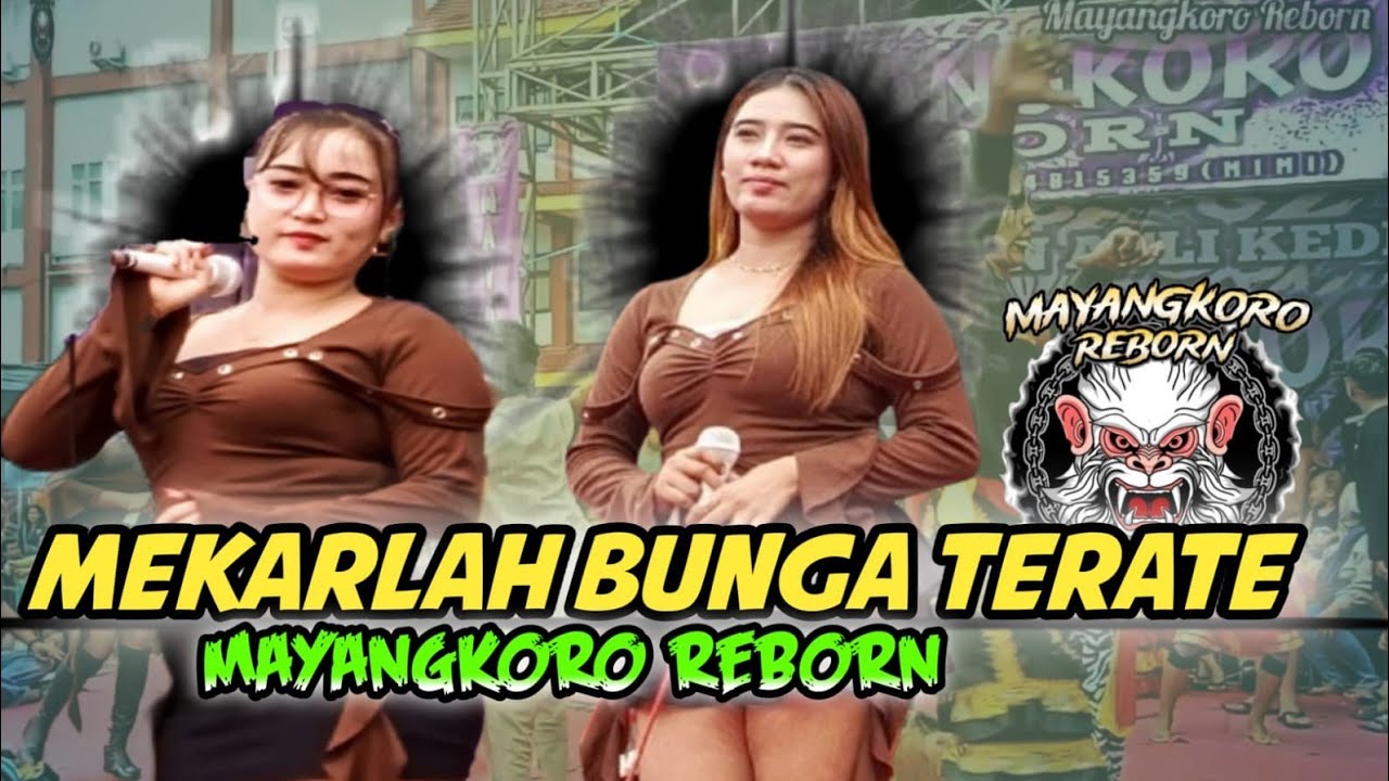 Mekarlah Bunga Teratai‼️ Mayangkoro Reborn 