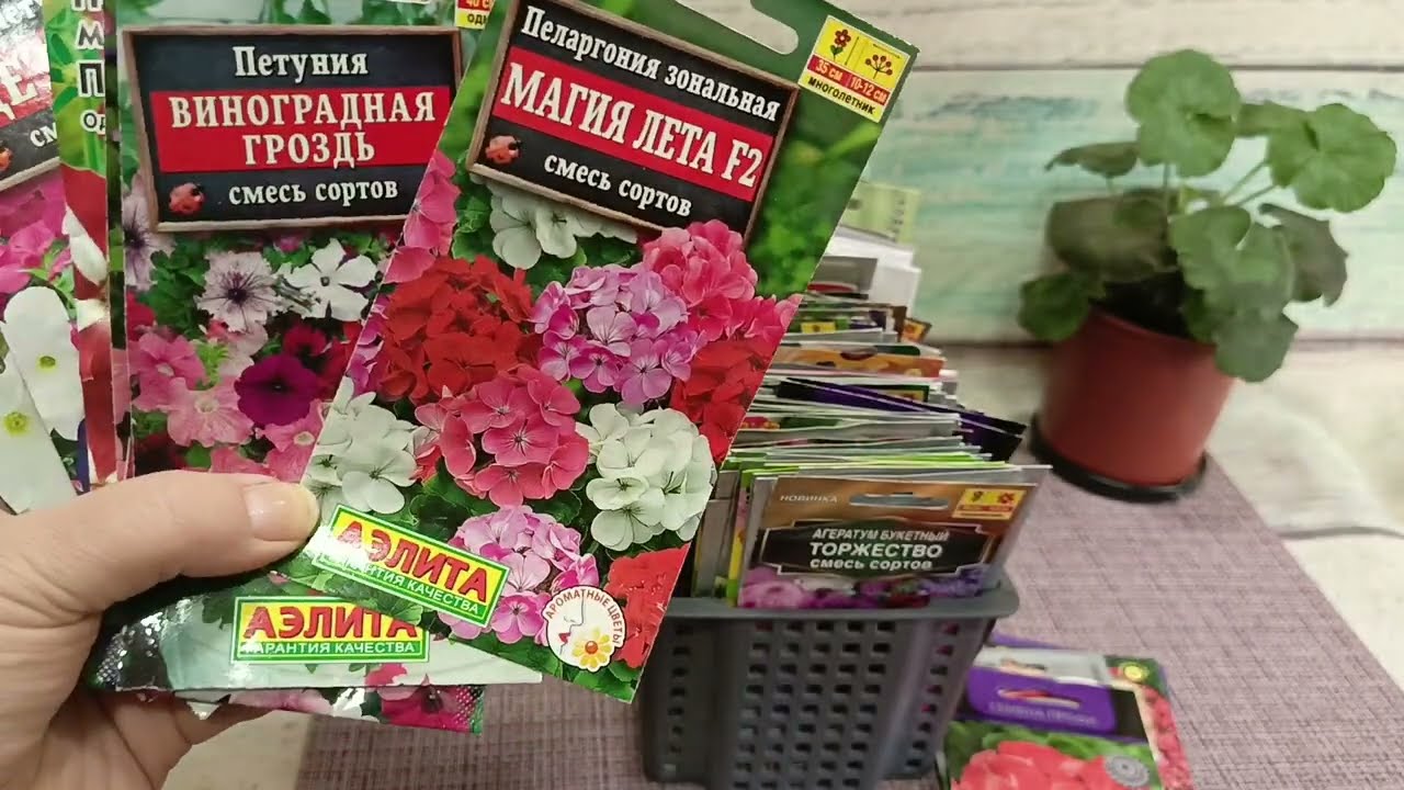 Семена 2025: шуршим пакетиками, цветы. Ч. 2.