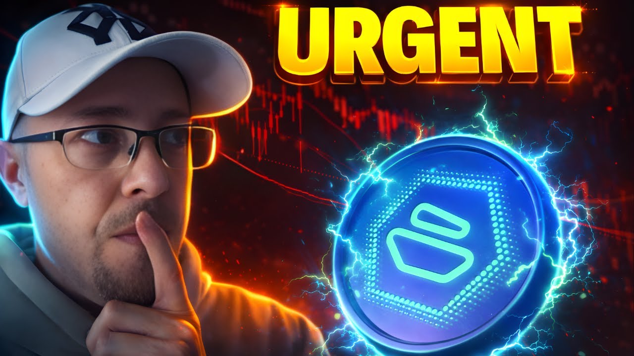 ZBCN висит на волоске: владельцам сети Zebec необходимо это увидеть.