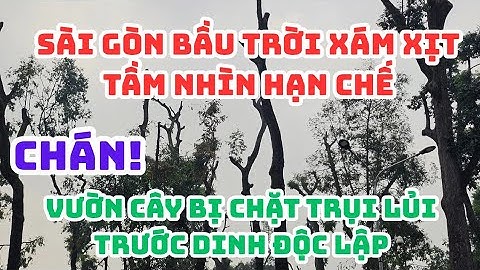 Sài Gòn: BẦU TRỜI XÁM XỊT tầm nhìn hạn chế - Công viên trước DINH ĐỘC LẬP VƯỜN CÂY bị chặt TRỤI LỦI