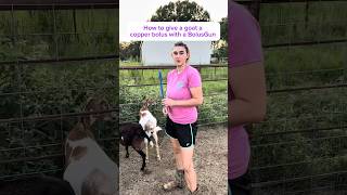 How to Give your Goats a Copper Bolus Using a Bolus Gun