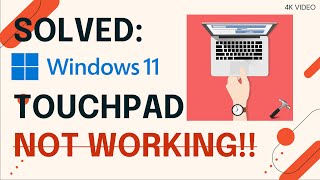 Touchpad isnt working after win 11 update - Microsoft Community