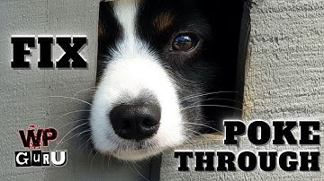 Fixing Poke Through with Selection Sets in DAZ Studio