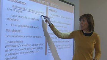 Errores frecuentes en Sintaxis - MasterD