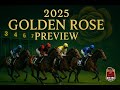 Golden Rose 2025 - Runner by Runner Preview