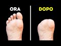 Anatomia Sbalorditiva: Curiosità sul Corpo Umano