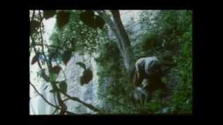 Guna Full Movie Part 9