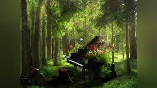 Paul  de Senneville  BEAUTIFUL RELAXING PIANO