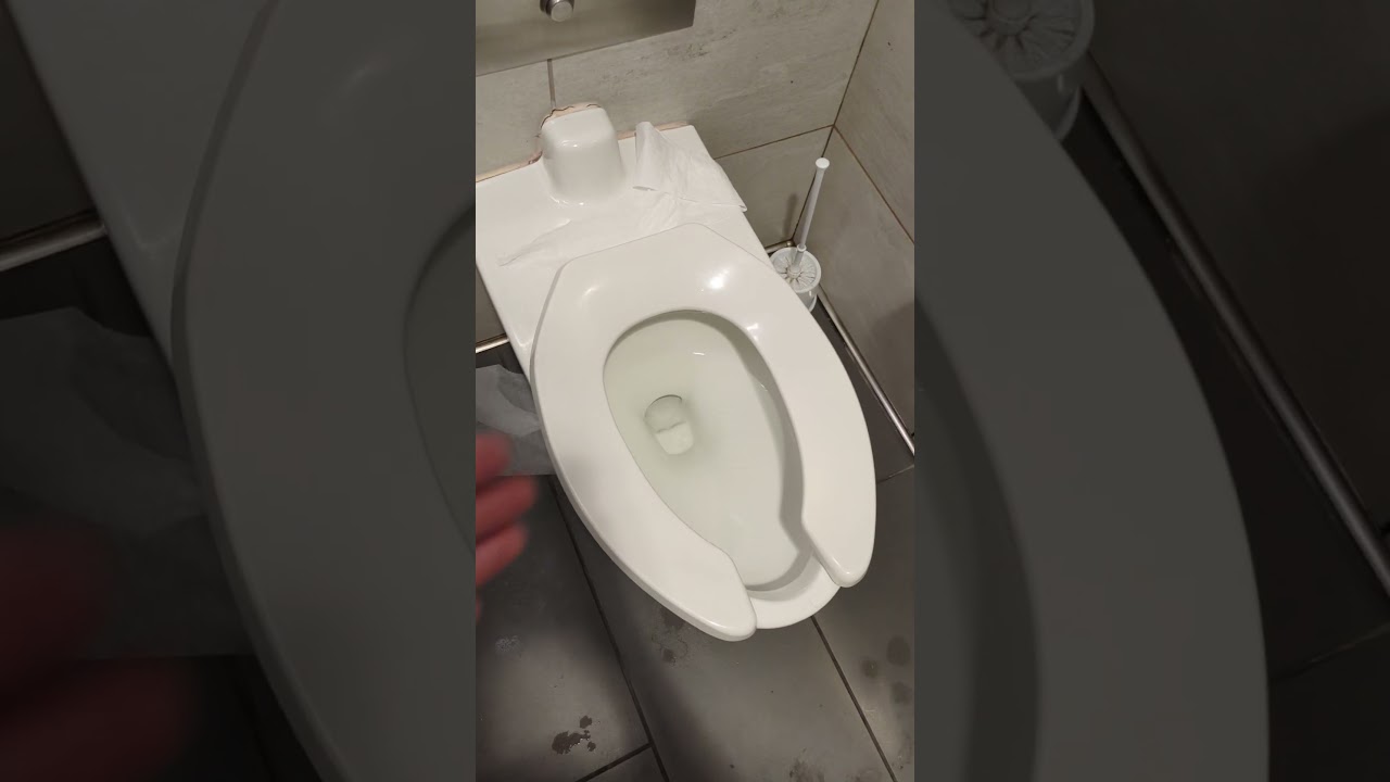 Budget rental toilet. 1/10! 