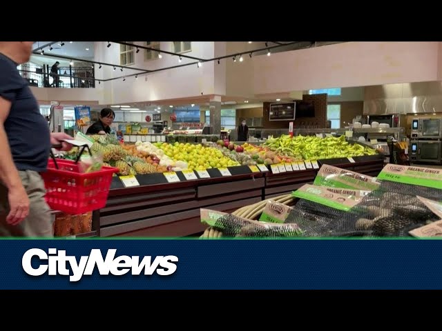 ‘Fair food prices for all’: Group calls for federal intervention on grocery prices class=