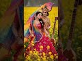 ও পাগল মন মনরে মন কেনো এতো কথা বলে #radhakrishna #radheradhe #firstvideo #shortvideo