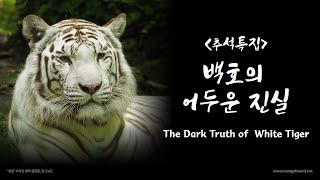 추석특집: 백호의 어두운 진실