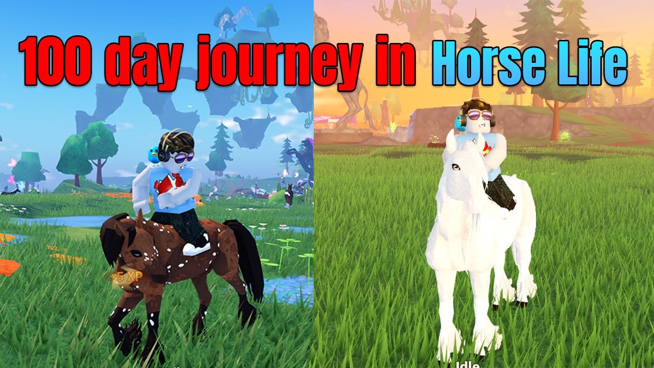 Journey to tame all horses in Horse Life Roblox #1 - YouTube
