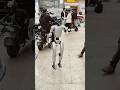 Human Robot in public places #robot