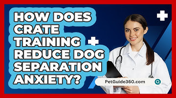 How Does Crate Training Reduce Dog Separation Anxiety? - PetGuide360.com