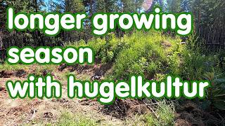 how hugelkultur extends the growing season