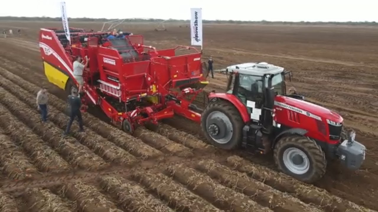 Haal effektief aartappels uit met Massey Ferguson en Grimme! Die Red Giants gaan jou uitsort.