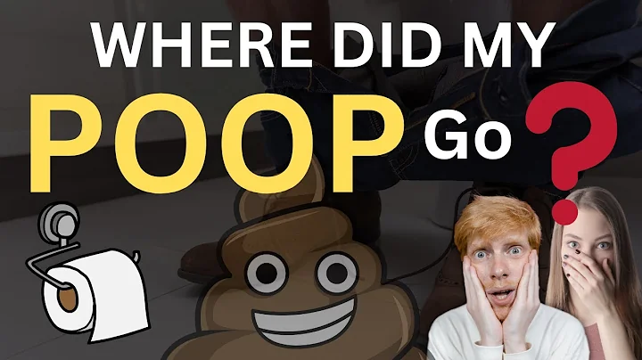 Where does your poo go? Sewer Systems explained