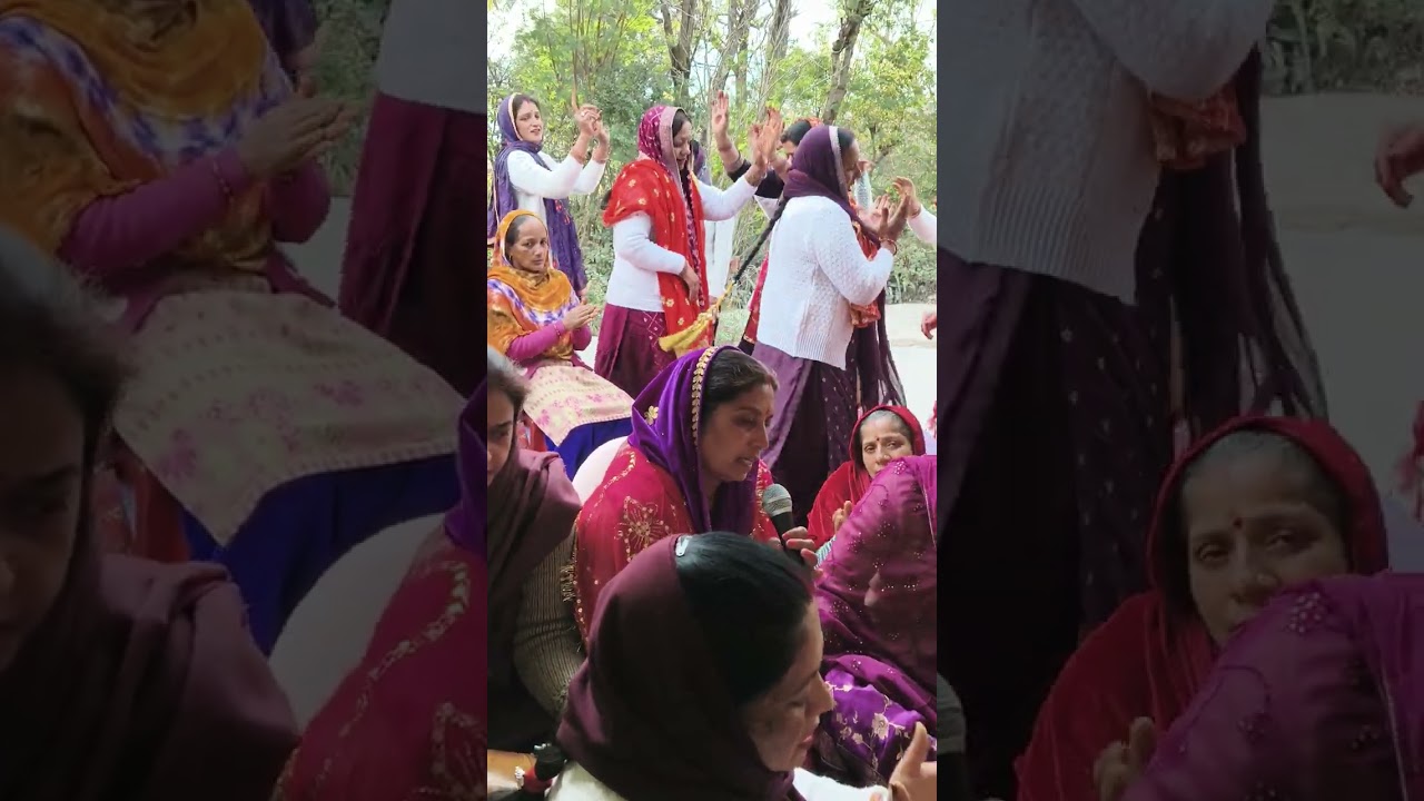  शेरावाली माता का एक बहुत ही सुंदरभजन 🎈🍁❤️❤️♥️♥️💗 जयकारा शेरावाली  बोल सच्चे दरबार की जय