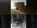 Mufasa: Il Re Leone | Al Cinema