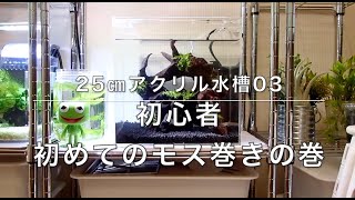 初心者の25cmアクリル水槽03 モス巻きに挑戦