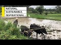 Natural sustainable inspirational   tsoi documentary
