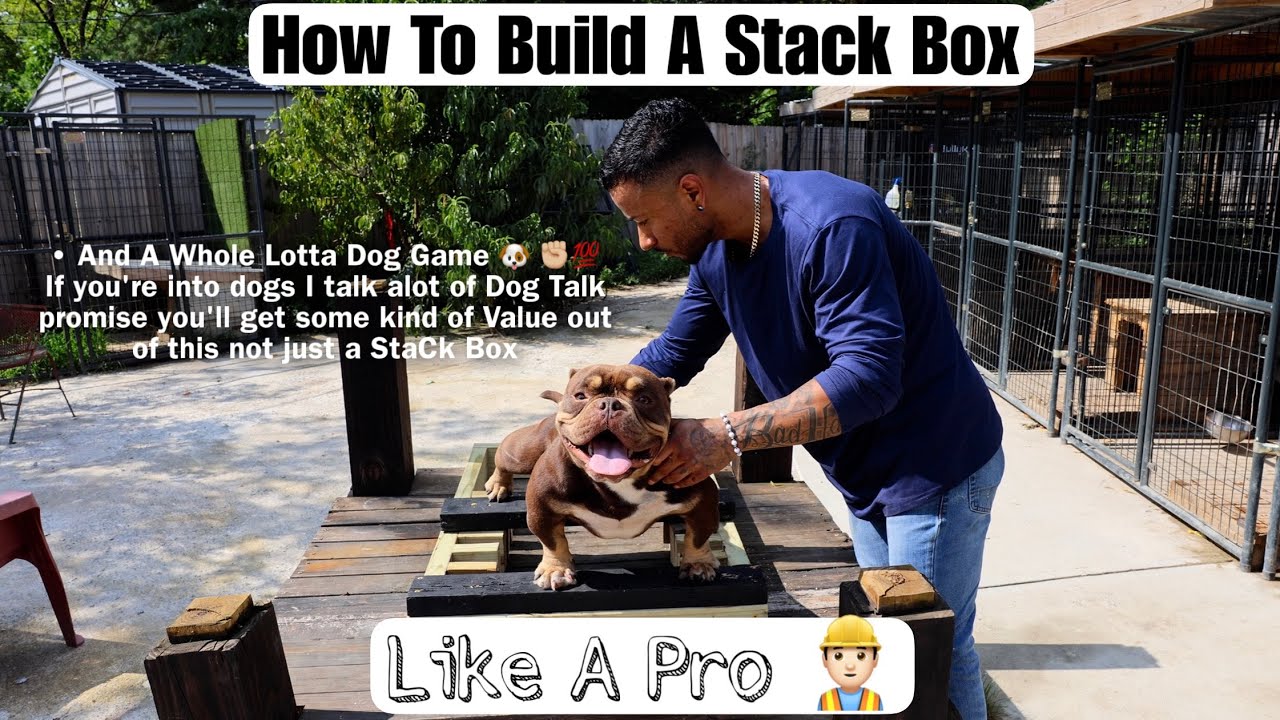 How To Build A Stack Box Like A Pro