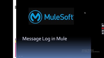 Message Log in MuleSoft