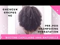 🇨🇮25. Volume et pousse extrême [MA ROUTINE CAPILLAIRE COMPLETE 100% NATURELLE] Kinky Hair Beauties