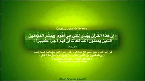 سورة الممتحنة للشيخ نبيل الرفاعي